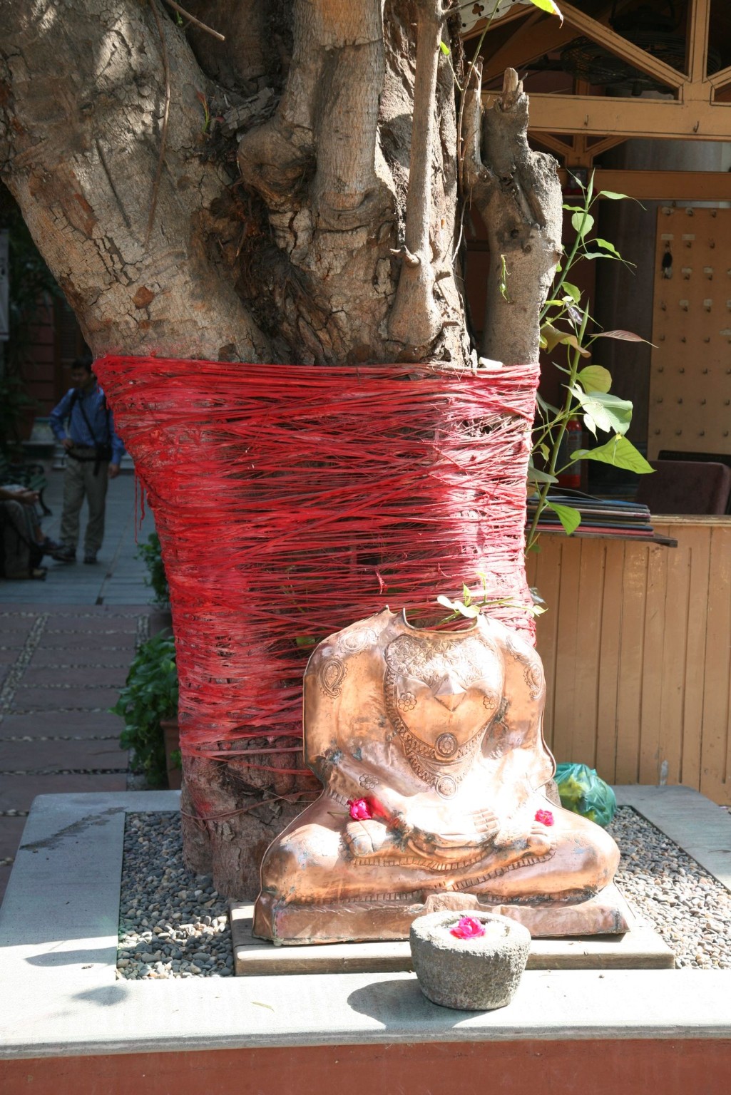 Tree and cultural symbol tied with red thread